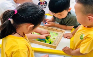 大班数学量的比较教案7篇