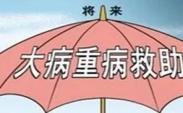 申请大病救助的申请书参考5篇