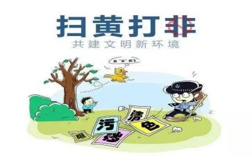 扫黄打非工作总结8篇