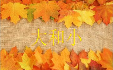 大和小教案7篇
