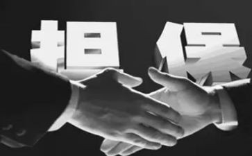 反担保合同模板7篇