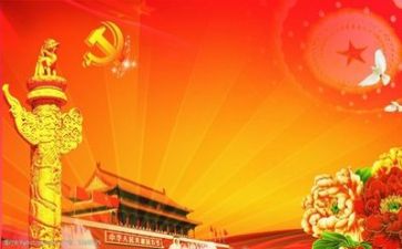 党会年度个人总结7篇