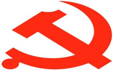 党组述职报告参考5篇