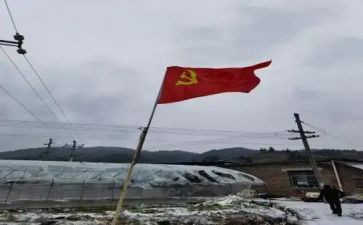 预备教师党员转正申请书5篇