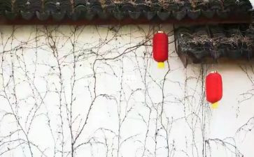 过大年作文5篇