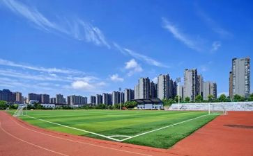 大学老师的个人总结8篇