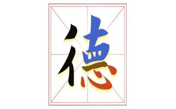 德育主任的年终总结8篇