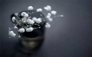 教学中的得与失心得体会5篇