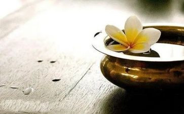 销售人员得与失的工作总结通用7篇