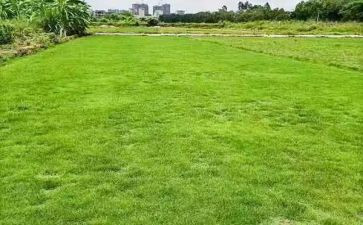 工地劳务合同模板8篇