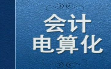 电算化总结心得8篇