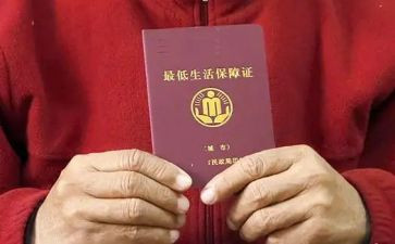 2024年低保工作总结范文7篇