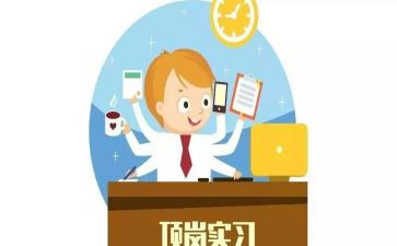 大学生顶岗实习心得体会800字6篇