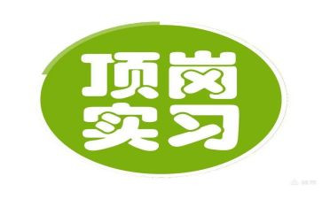 顶岗实习个人总结报告6篇