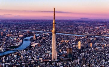 观东京审判后心得体会8篇