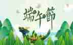 过端午节的作文精选5篇