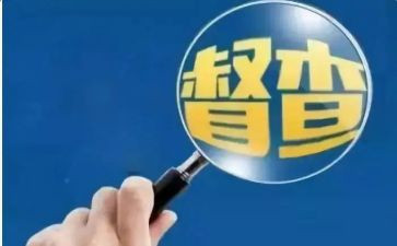 督查室年度总结8篇