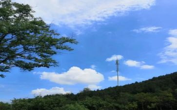 ...对不起作文模板5篇