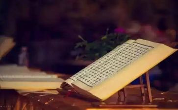 阅读经典读后感作文8篇