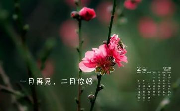 大班二月份月总结5篇