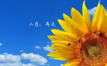 第二月工作总结7篇