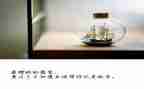 让梦想放飞作文优秀8篇