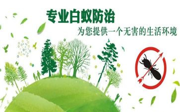 2024年职业病防治法宣传周活动总结最新5篇