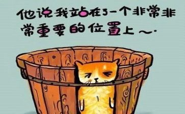活动总结反思最新7篇