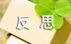 总结与反思作文8篇