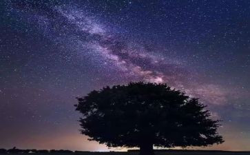 繁星二的读后感6篇