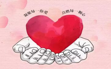 教师奉献事迹5篇