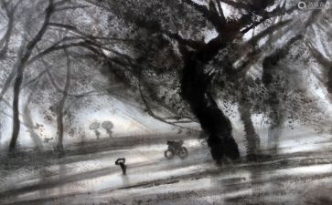 风雨教案6篇