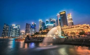 扫雷英雄杜富国事迹5篇