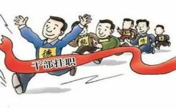 副职个人总结8篇