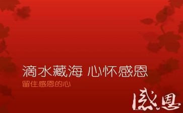 关于感恩的人演讲稿推荐7篇