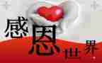 2024年感恩节演讲稿参考7篇