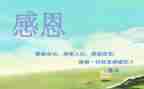 感恩老师,演讲稿优质5篇
