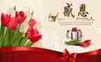 感恩400字作文8篇