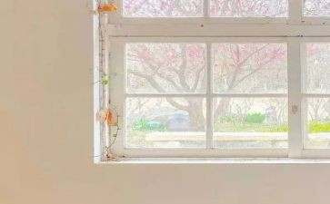 爱干净的我教案优秀6篇