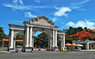 高校年度个人总结模板8篇