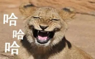 搞笑又励志的演讲稿6篇