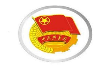 100周年共青团心得体会500字6篇