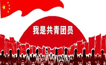 读共青团的历史心得体会7篇