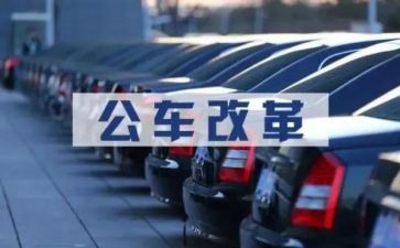 公务考核年度个人总结8篇