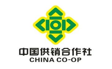 供销处年度工作总结6篇