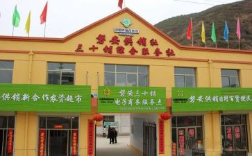 供销社个人总结6篇