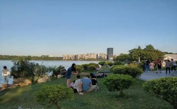 去公园作文300字8篇