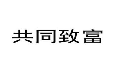 致富能手主要事迹8篇