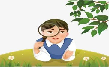 观察蚂蚁心得体会8篇