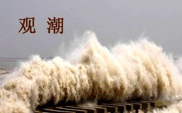 观潮读书心得模板8篇